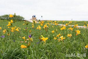 サロベツ原生花園　自然観察路