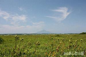 サロベツ原生花園