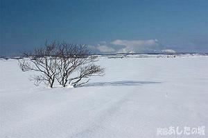 雲に隠れてしまった利尻富士