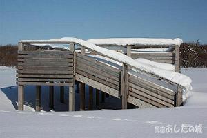 展望台