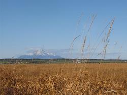 利尻とサロベツ原野