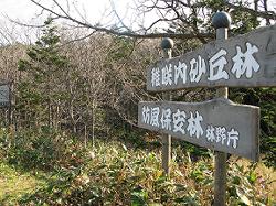 原始砂丘林西側遊歩道入口