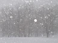 深々と雪が降る