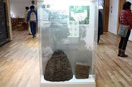 泥炭の展示物