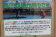 自然再生への取り組み