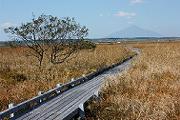 晩秋の原野