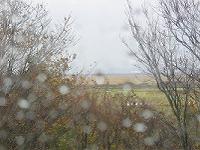 雨降り