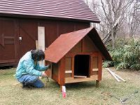 おしゃれな犬小屋にしないとな!