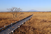 秋のサロベツ湿原